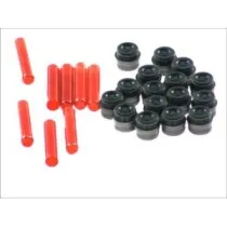 Set garnituri, ax supape 