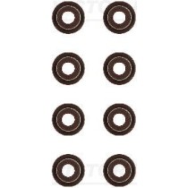 Set garnituri, ax supape REINZ