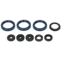 Set garnituri complet, motor ATHENA