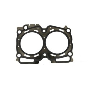 Garnitura chiulasa REINZ