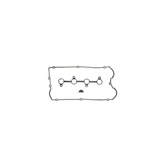 Set garnituri, Capac supape REINZ