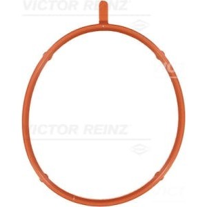 Garnitura, Carcasa galerie admisie REINZ