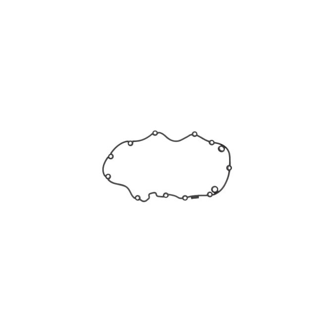 Garnitura, capac supape REINZ