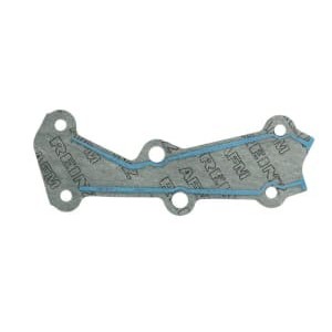 Set garnituri, carcasa distributie REINZ