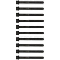 Set surub chiulasa REINZ