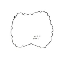 Garnitura, capac supape REINZ