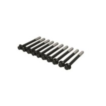 Set surub chiulasa REINZ