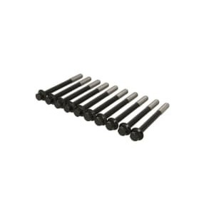 Set surub chiulasa REINZ