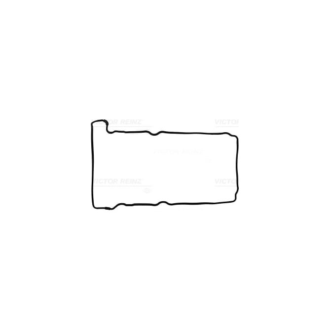 Garnitura, capac supape REINZ