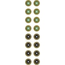 Set garnituri, ax supape REINZ