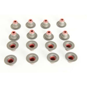 Set garnituri, ax supape REINZ