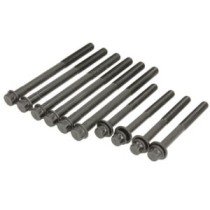 Set surub chiulasa REINZ