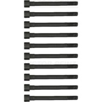 Set surub chiulasa REINZ