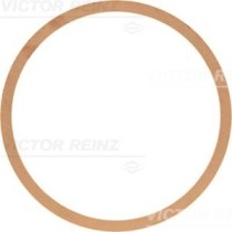 Garnitura chiulasa REINZ