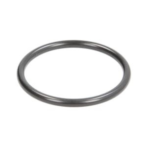 O-ring ZF