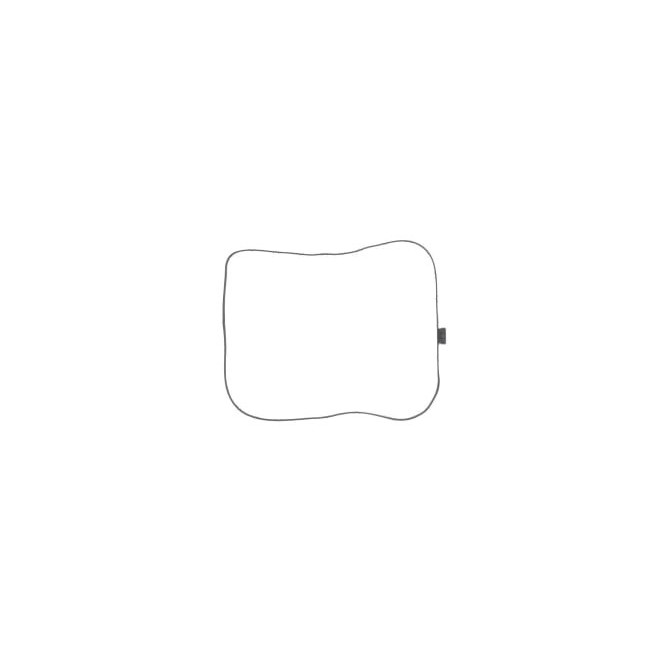 Etansare ulei, transmisie manuala ZF