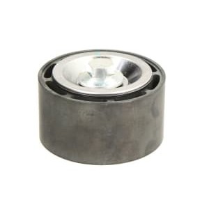 Rola ghidare/conducere, curea transmisie DAYCO