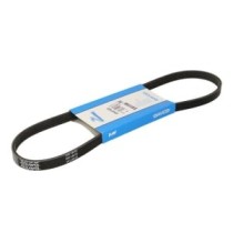 Curea transmisie cu caneluri DAYCO