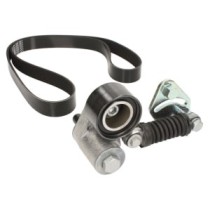 Set curea transmisie cu caneluri DAYCO