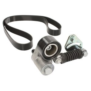 Set curea transmisie cu caneluri DAYCO