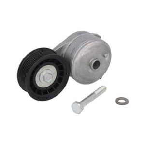 Intinzator,curea transmisie DAYCO