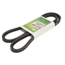 Curea transmisie DAYCO