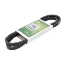 Curea transmisie DAYCO