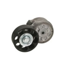 Intinzator,curea transmisie DAYCO