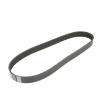 Curea transmisie cu caneluri DAYCO