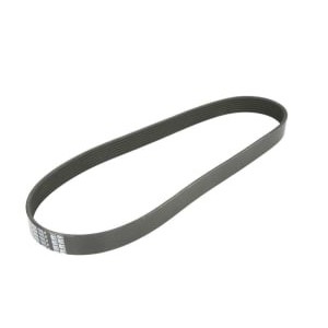 Curea transmisie cu caneluri DAYCO