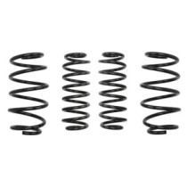 Coborarea arcului EIBACH