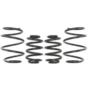 Coborarea arcului EIBACH