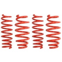 Coborarea arcului EIBACH