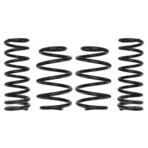 Coborarea arcului EIBACH