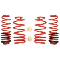 Coborarea arcului EIBACH