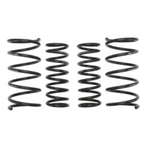 Coborarea arcului EIBACH