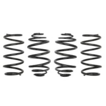 Coborarea arcului EIBACH