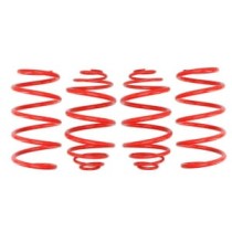 Coborarea arcului EIBACH