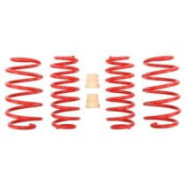 Coborarea arcului EIBACH