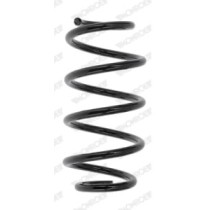 Arcuri elicoidale MONROE