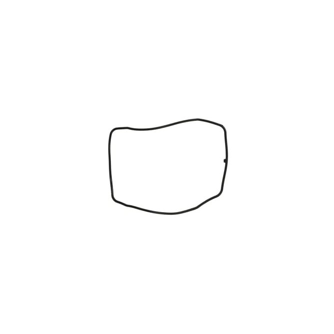 Garnitura, capac supape SIERRA INTERNATONAL LLC