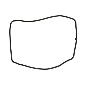 Garnitura, capac supape SIERRA INTERNATONAL LLC