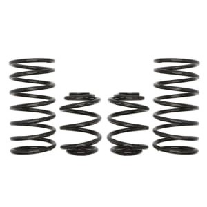 Coborarea arcului EIBACH