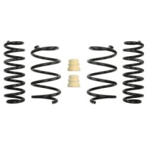 Coborarea arcului EIBACH