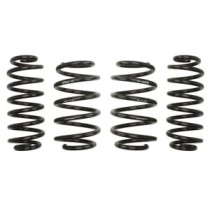 Coborarea arcului EIBACH