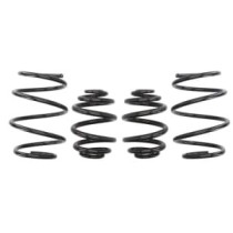 Coborarea arcului EIBACH