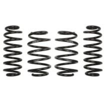 Coborarea arcului EIBACH