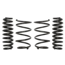 Coborarea arcului EIBACH