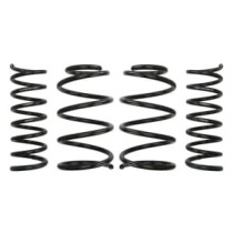 Coborarea arcului EIBACH