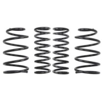 Coborarea arcului EIBACH